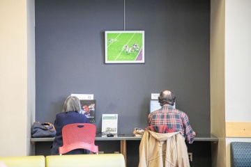 Two people using public computers at a library.